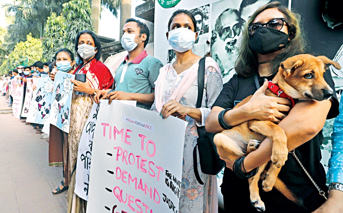 Why the relocation of street dogs is counterproductive, cruel