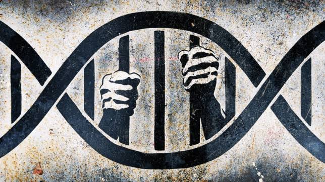 Will the National Human Rights Commission fulfil our expectations?