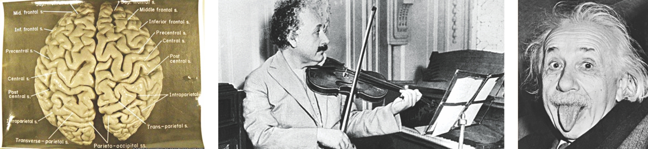 einstein.jpg