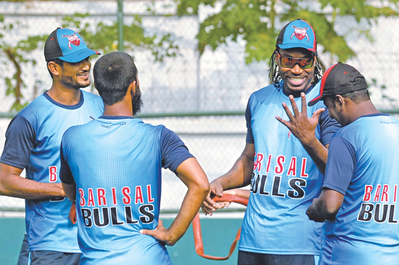 gayle.jpg
