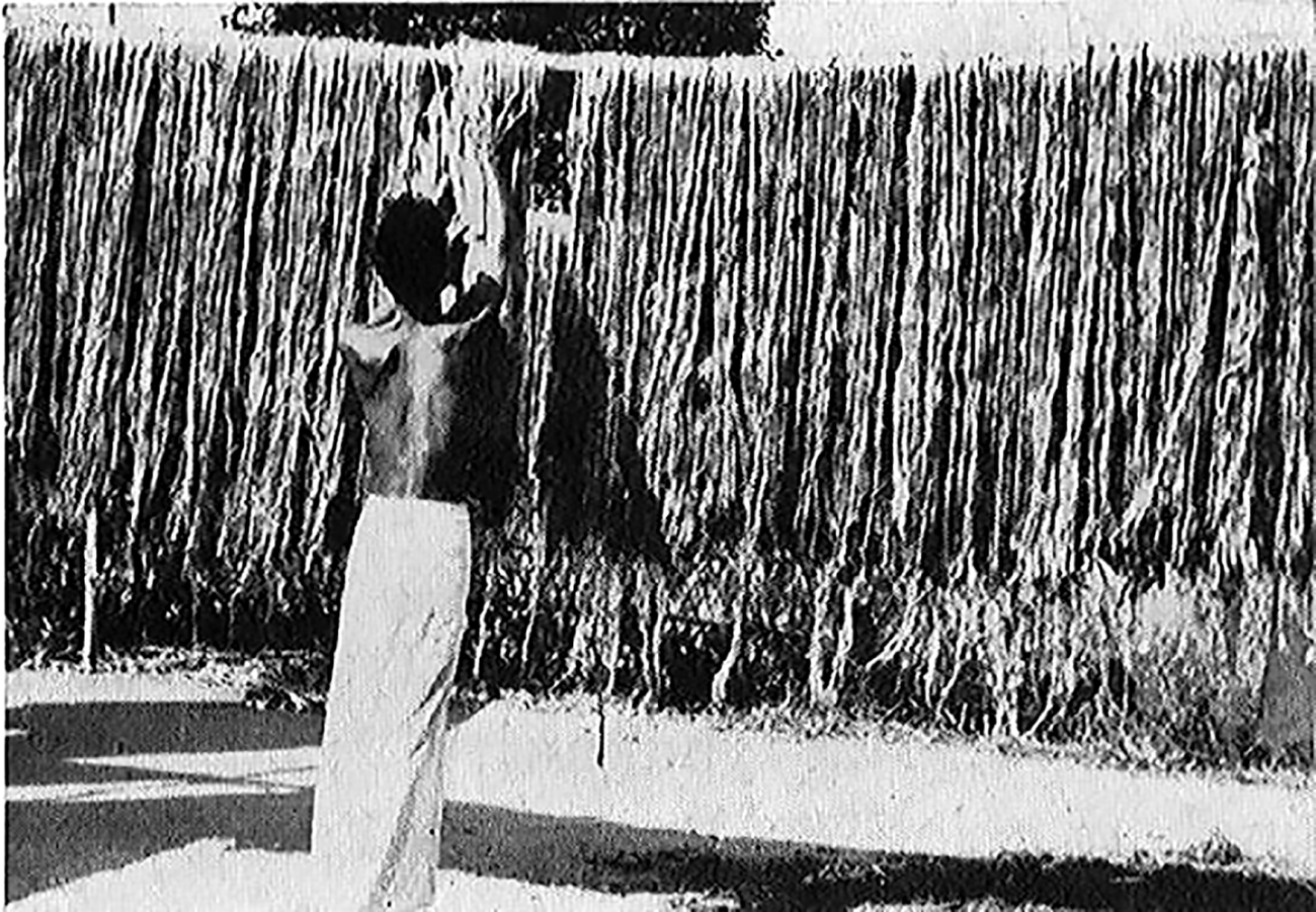 jute sharing 1.jpg