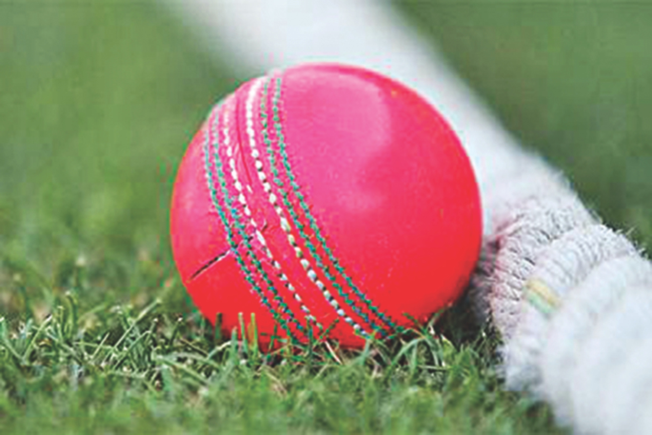 pink ball.jpg