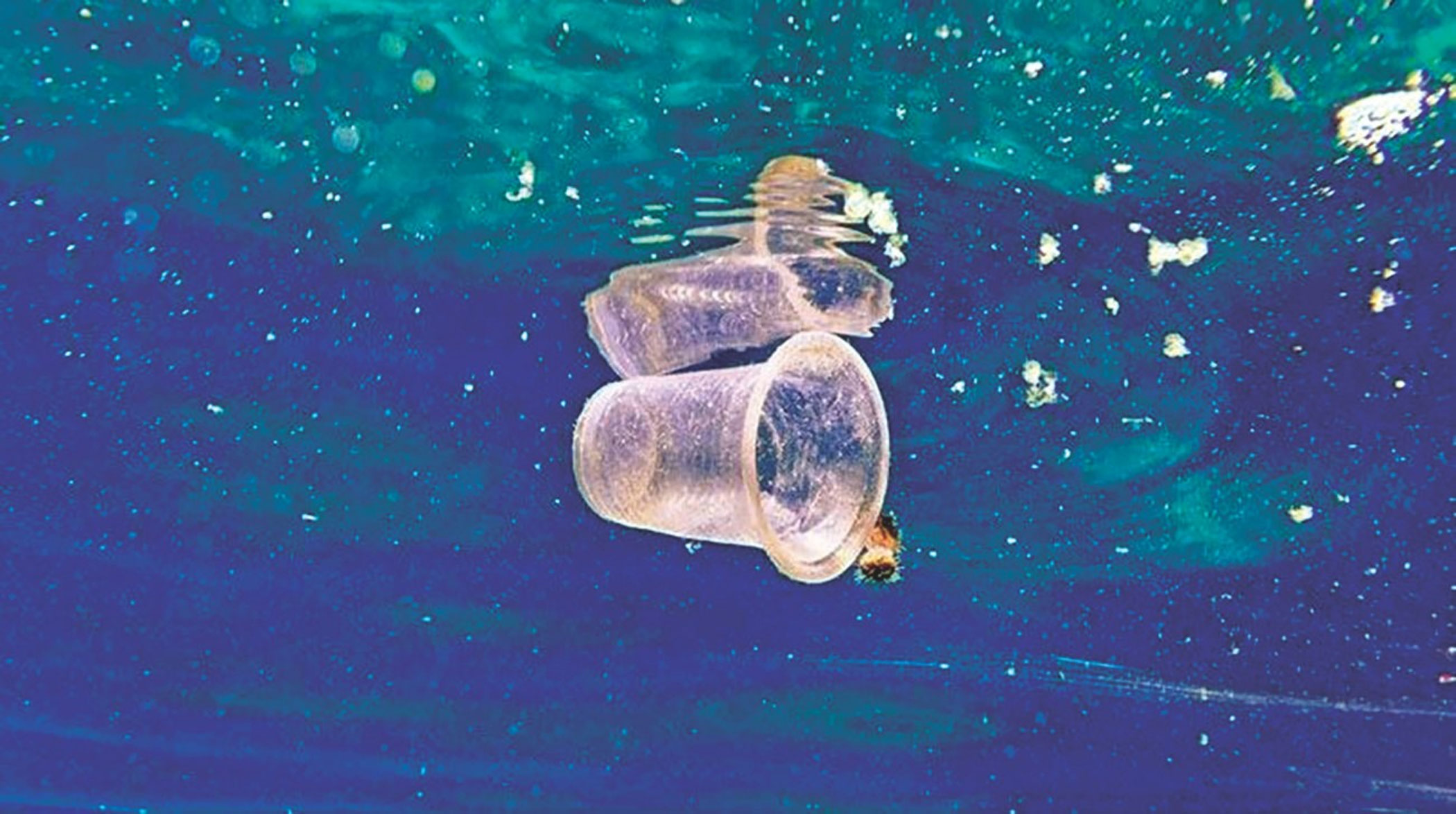 Plastic most lethal among all waste