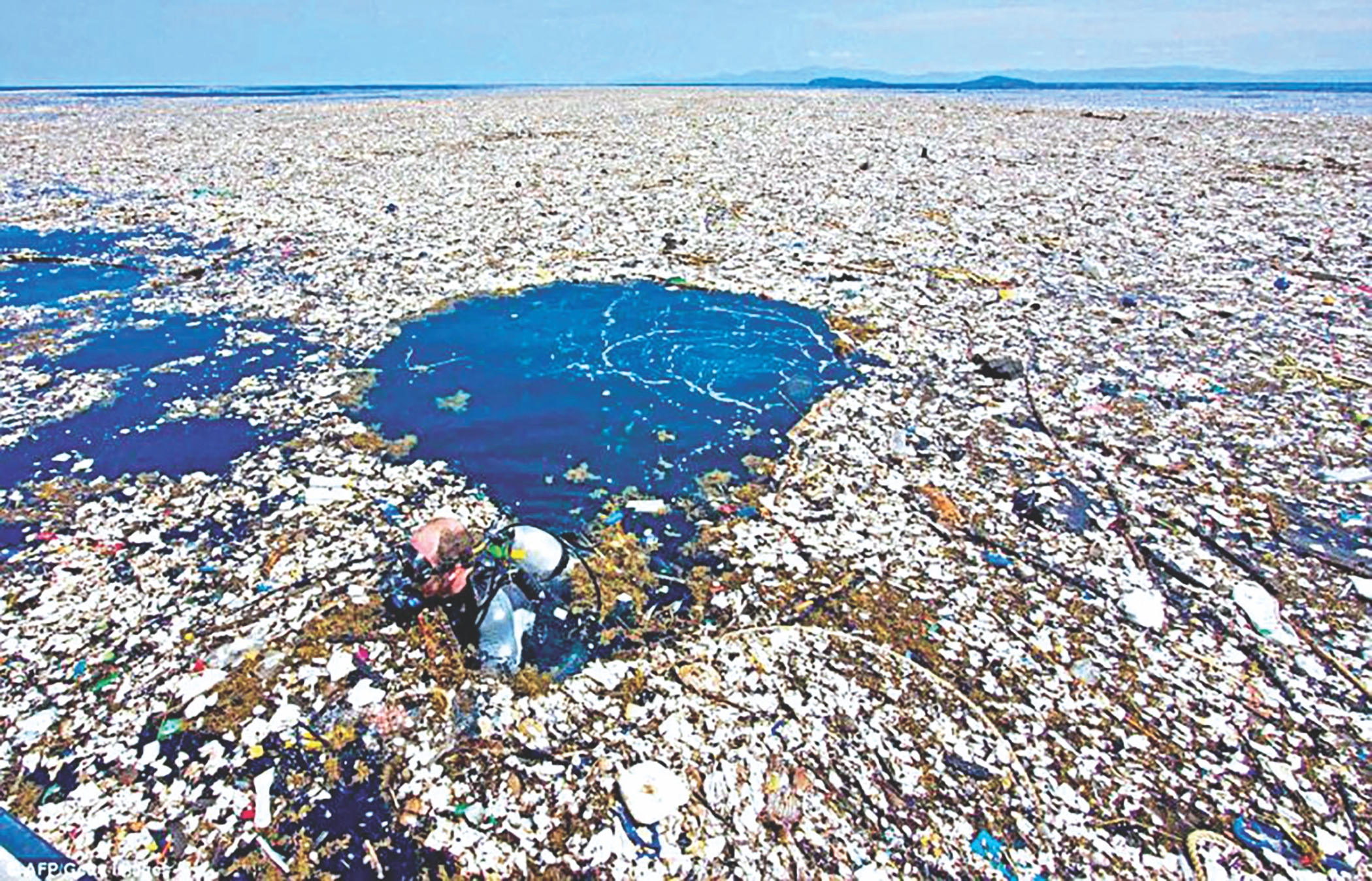 pLASTIC.jpg