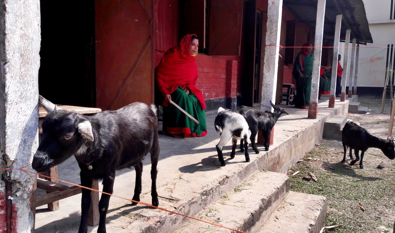 Teesta Girls' High School