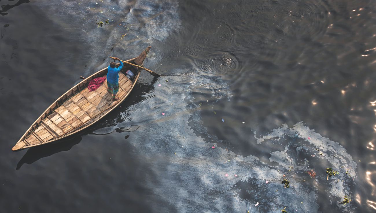 Our wetlands and a sustainable urban future