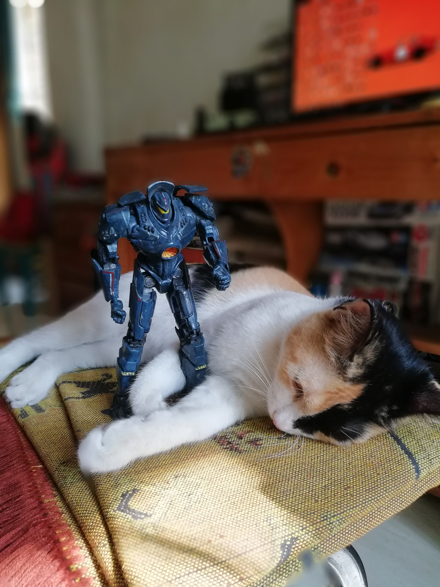 huawei_nova_2i_sample_photo_14.jpg