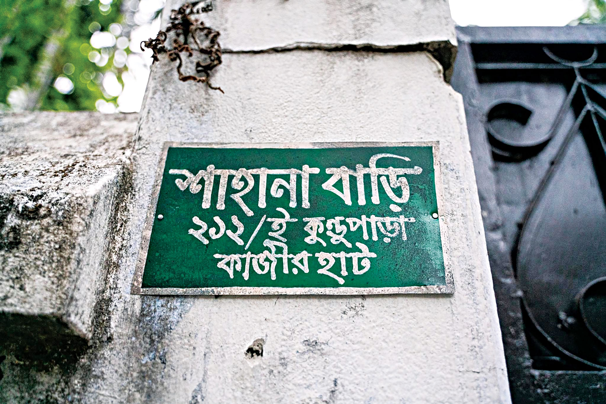 shahana-1_0.jpg