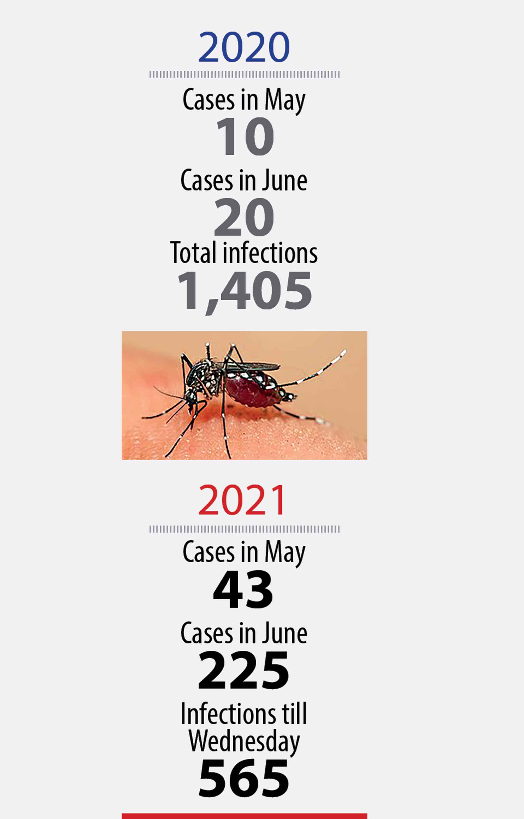 dengue_1.jpg