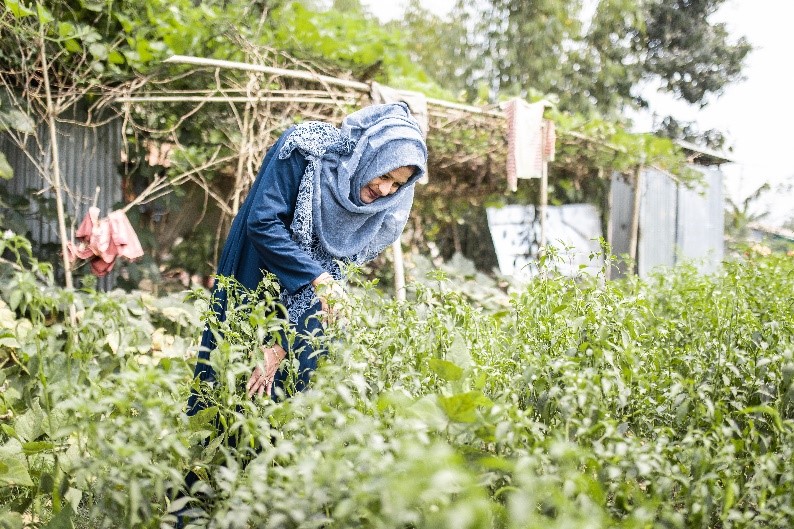 umme_habiba_2.jpg
