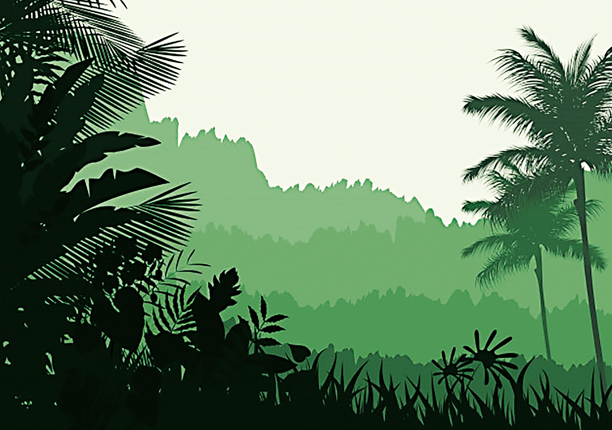 borneo-island.jpg