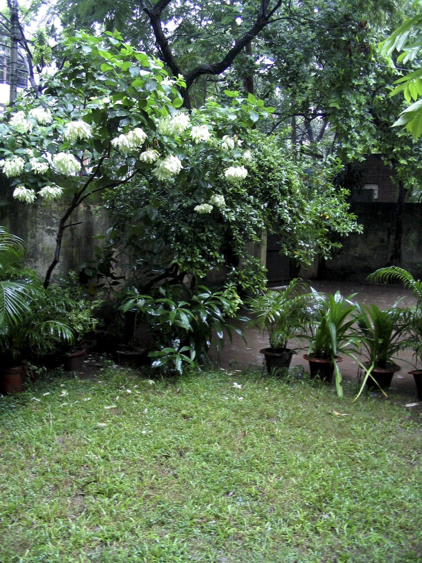 untitled-9.jpg
