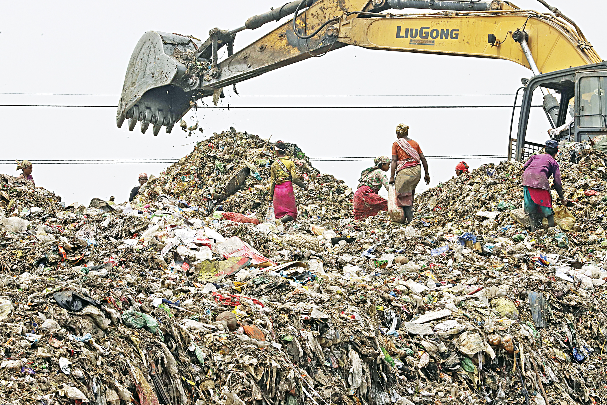 A tale of a landfill  and its ravages