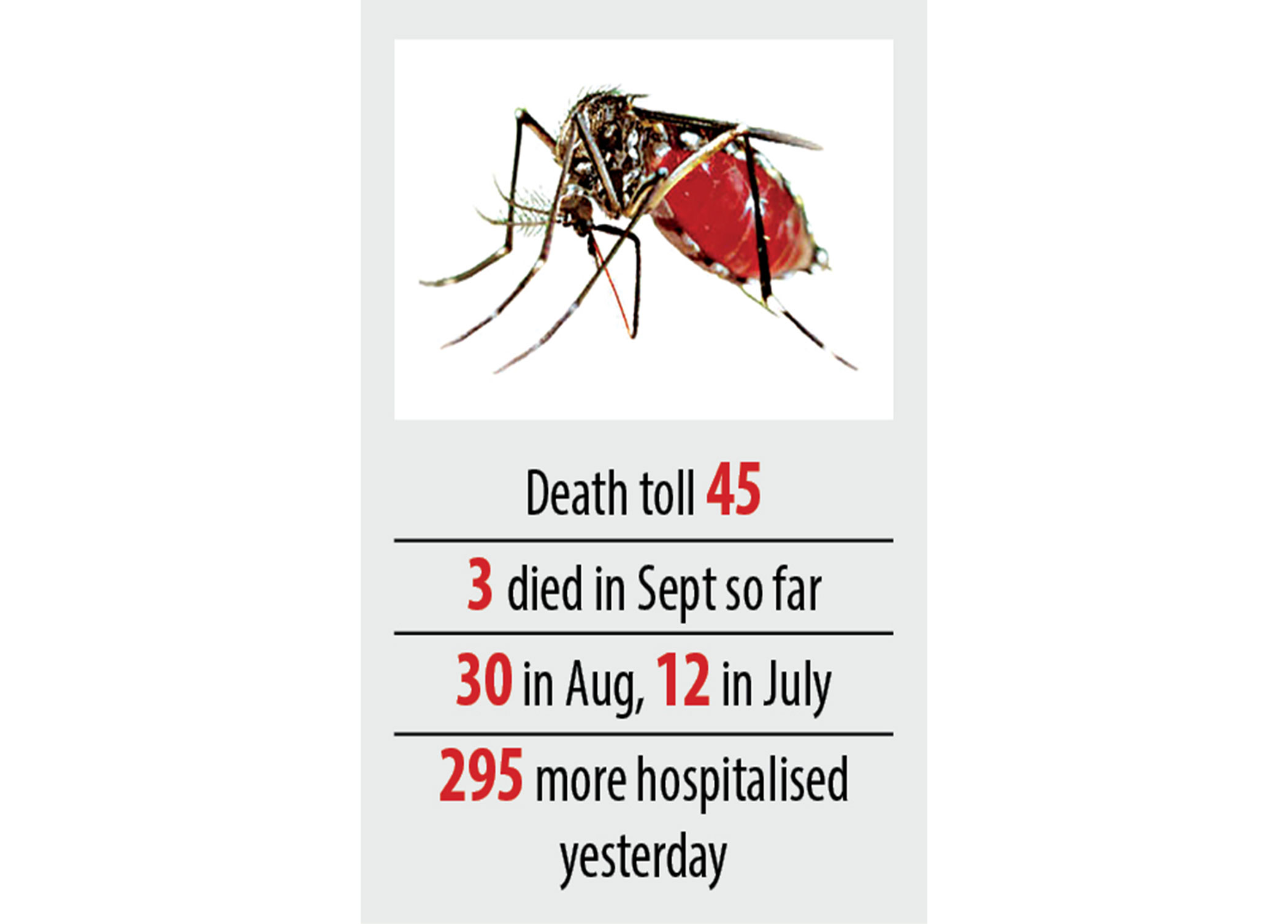 dengue-1.jpg