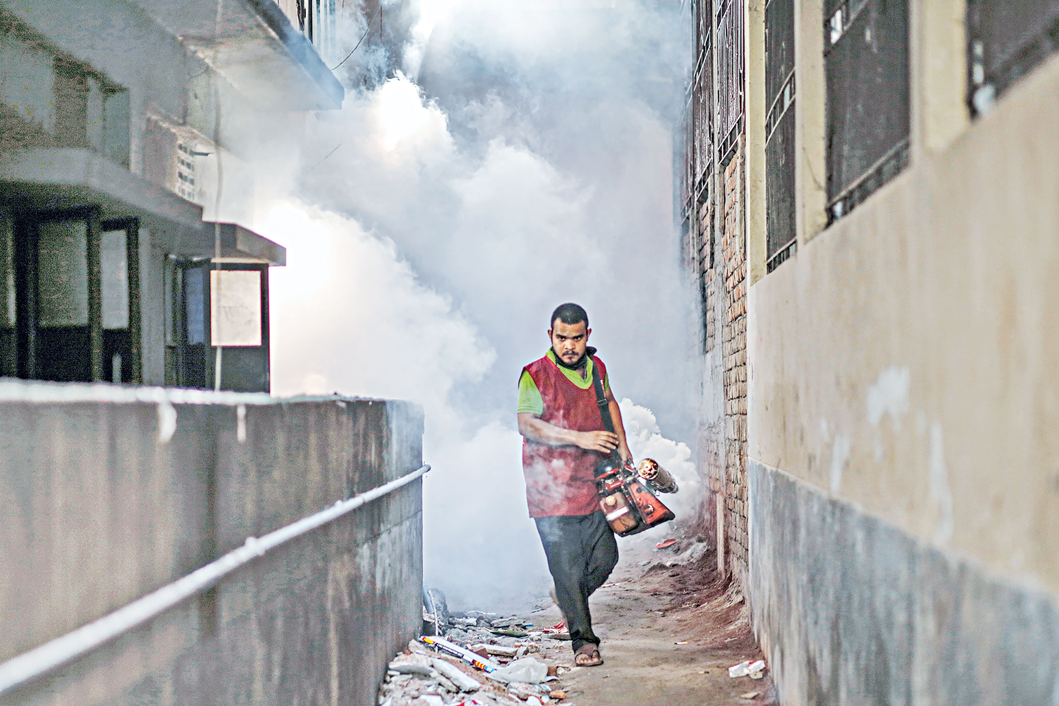 dengue-3.jpg