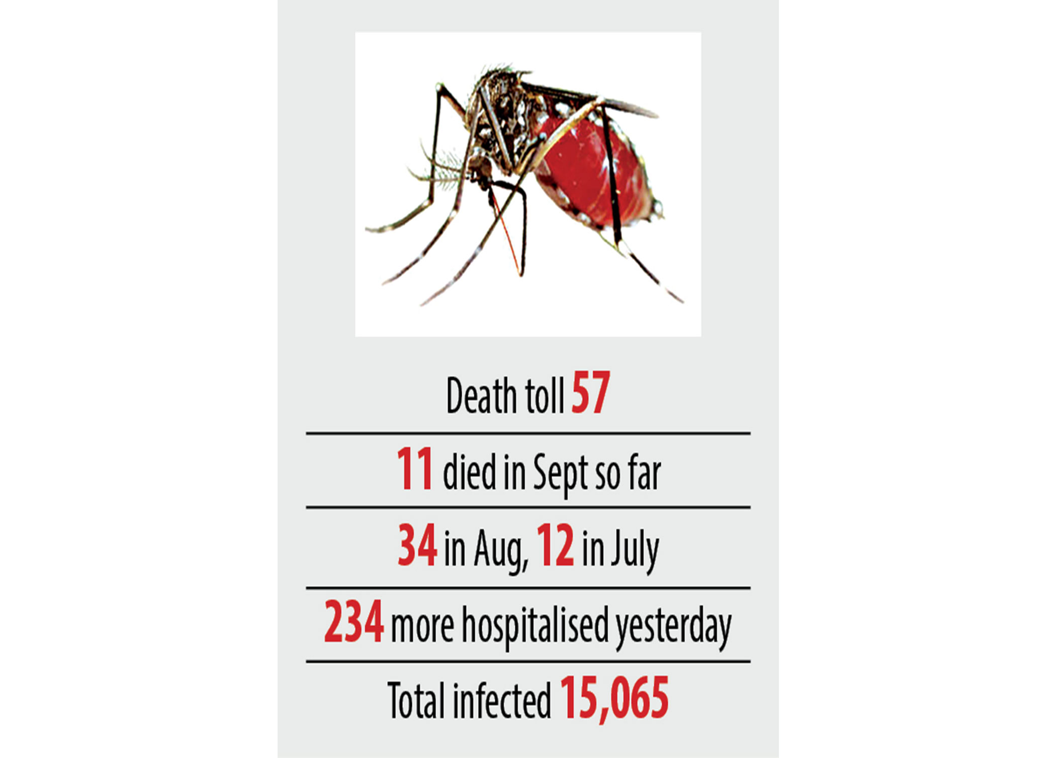 dengue-1.jpg