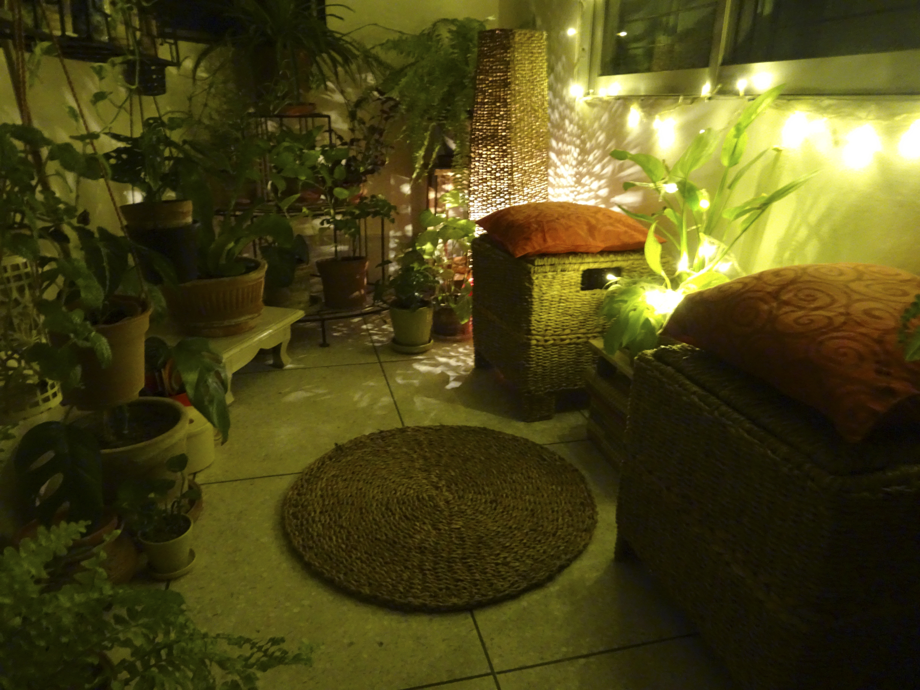 dsc03407.jpg