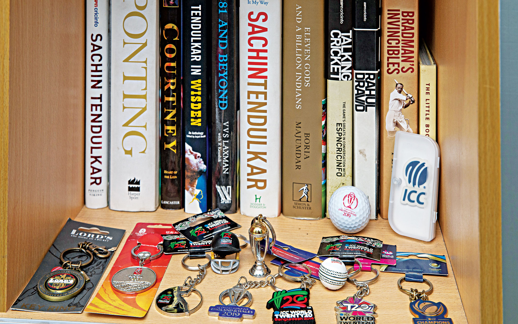 collecting-cricket1.jpg