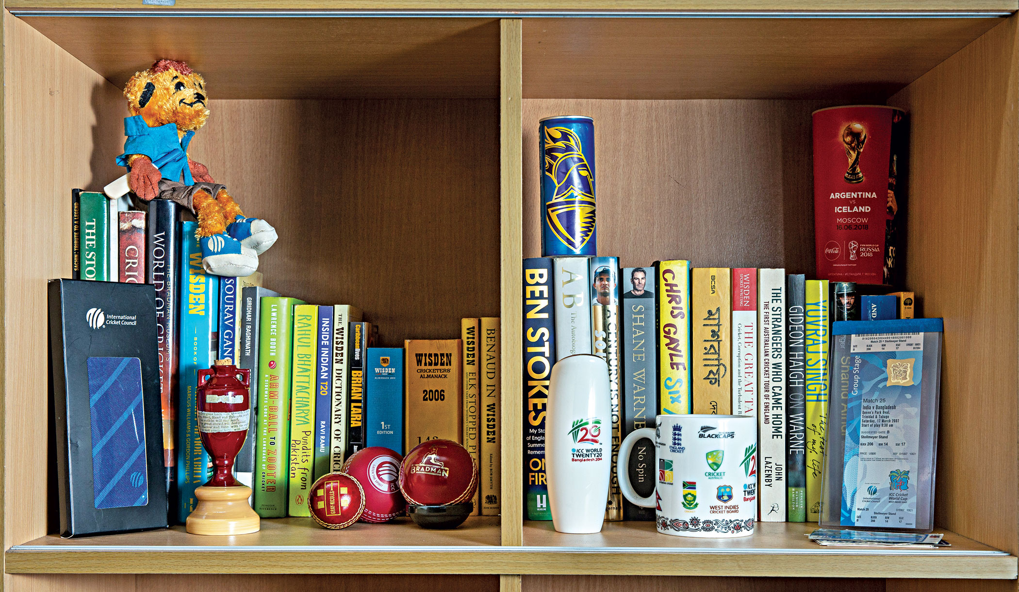 collecting-cricket8.jpg