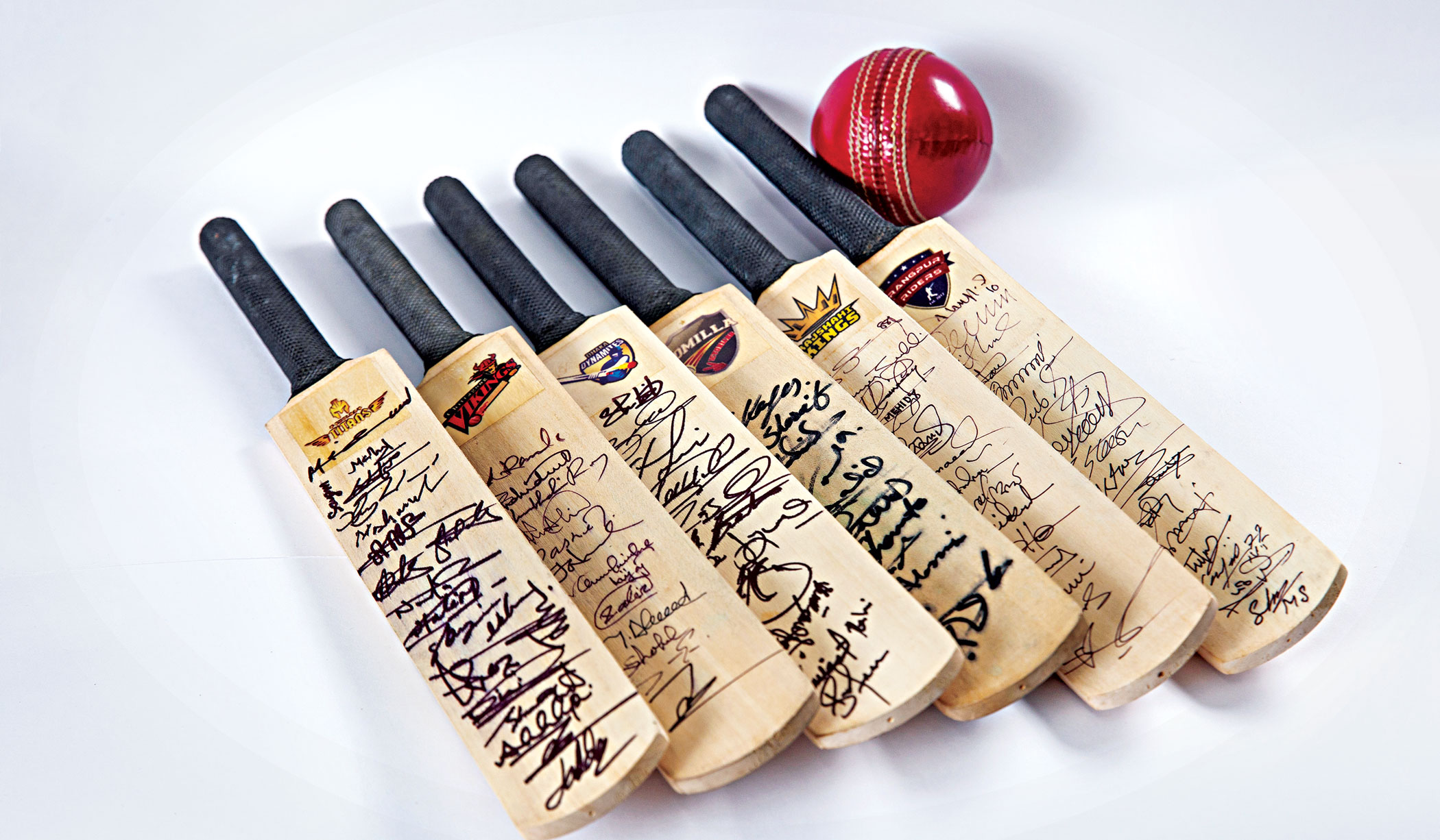 cricket6.jpg