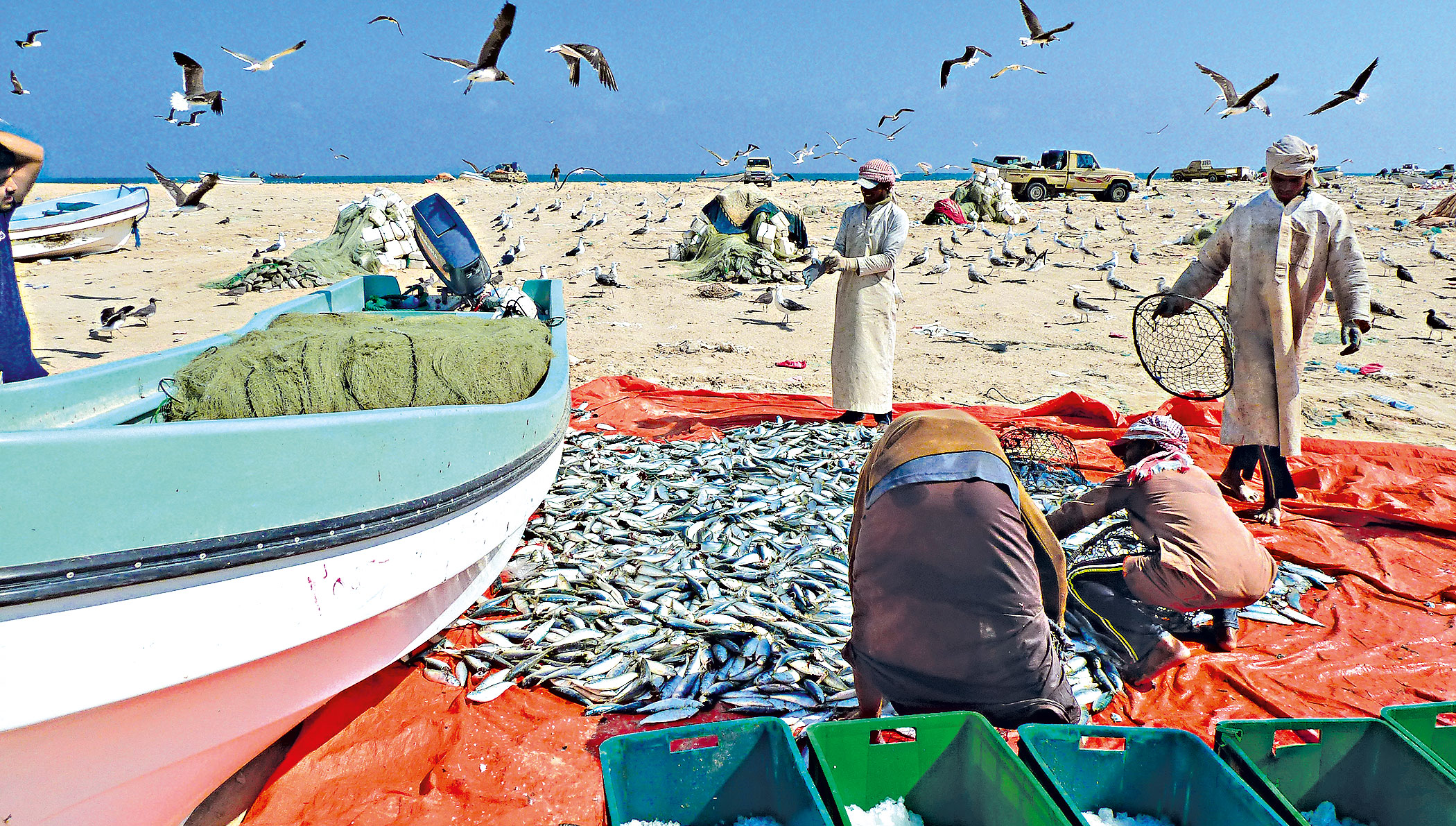 fisherman3.jpg