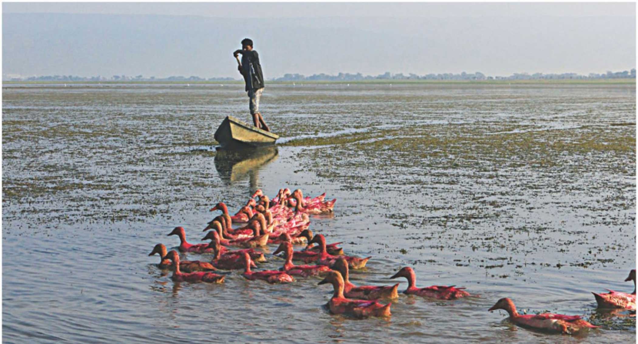 Mainstreaming nature-based solutions into development in Bangladesh