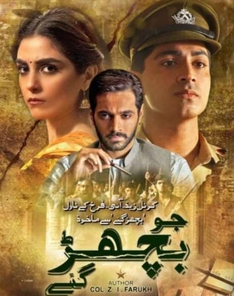 jo_bichar_gaye_poster_2.jpg