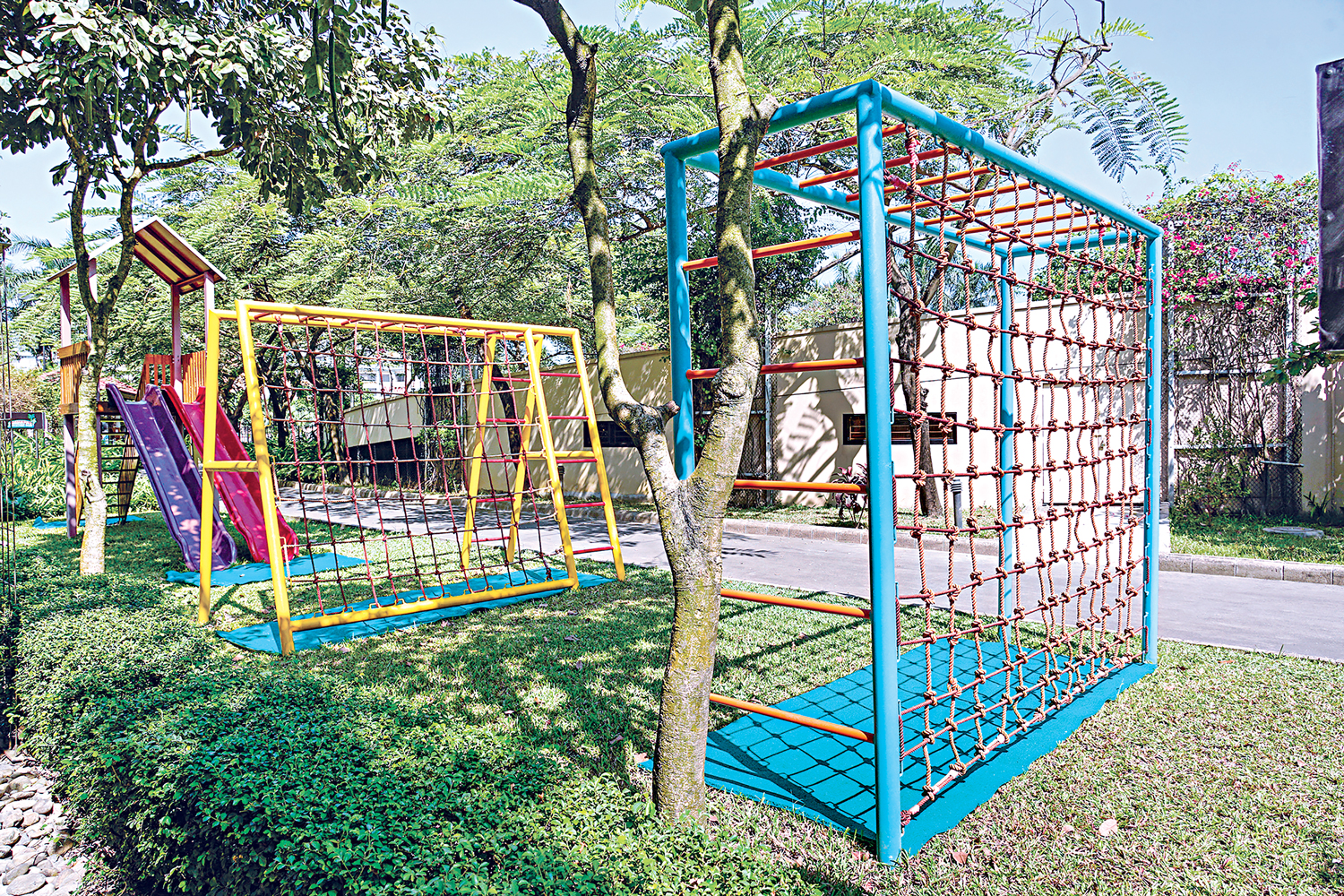 park5.jpg