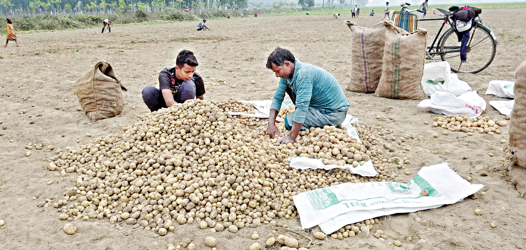 thakurgaon-2.jpg