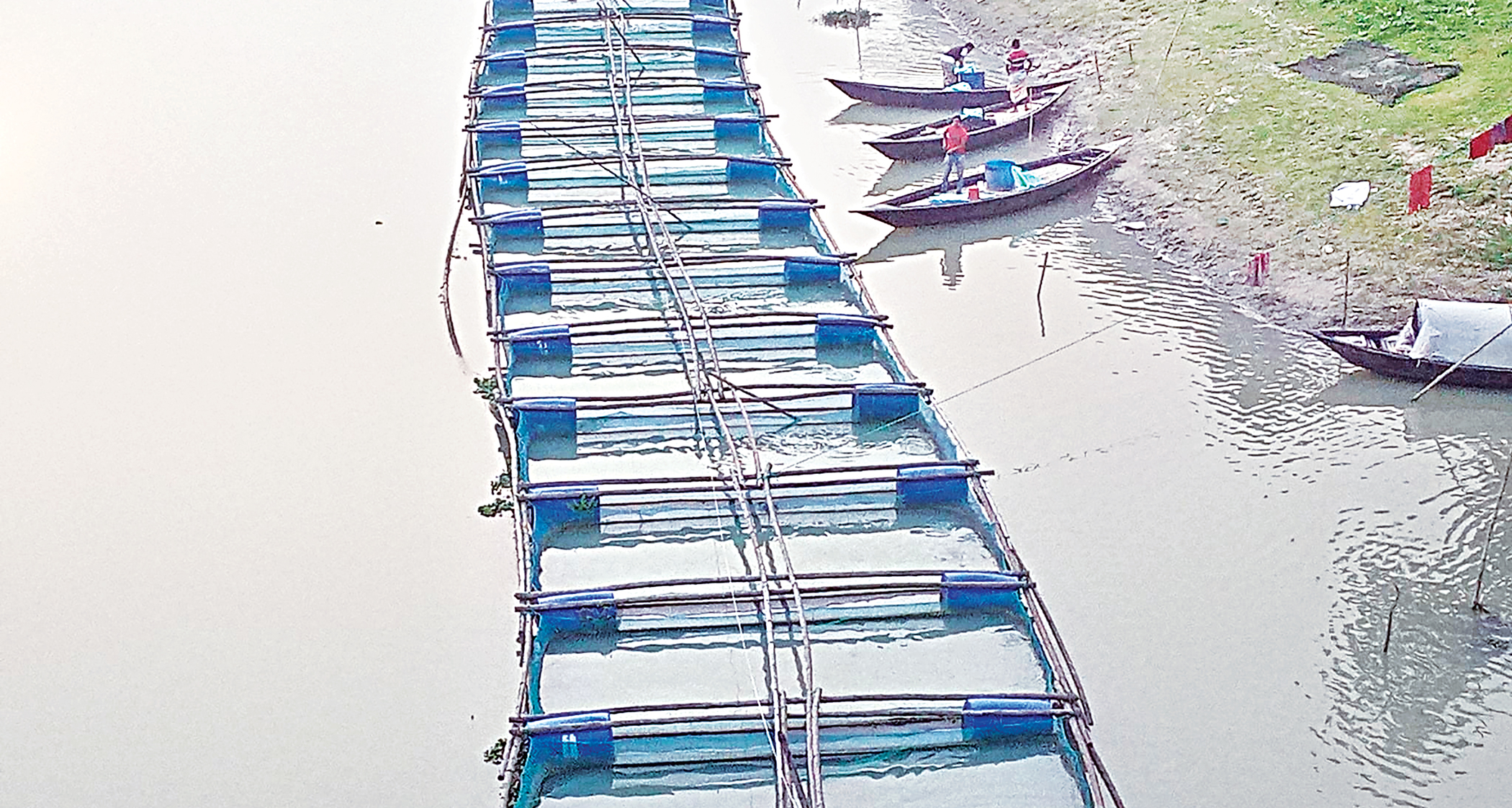 cage-fish-farming.jpg