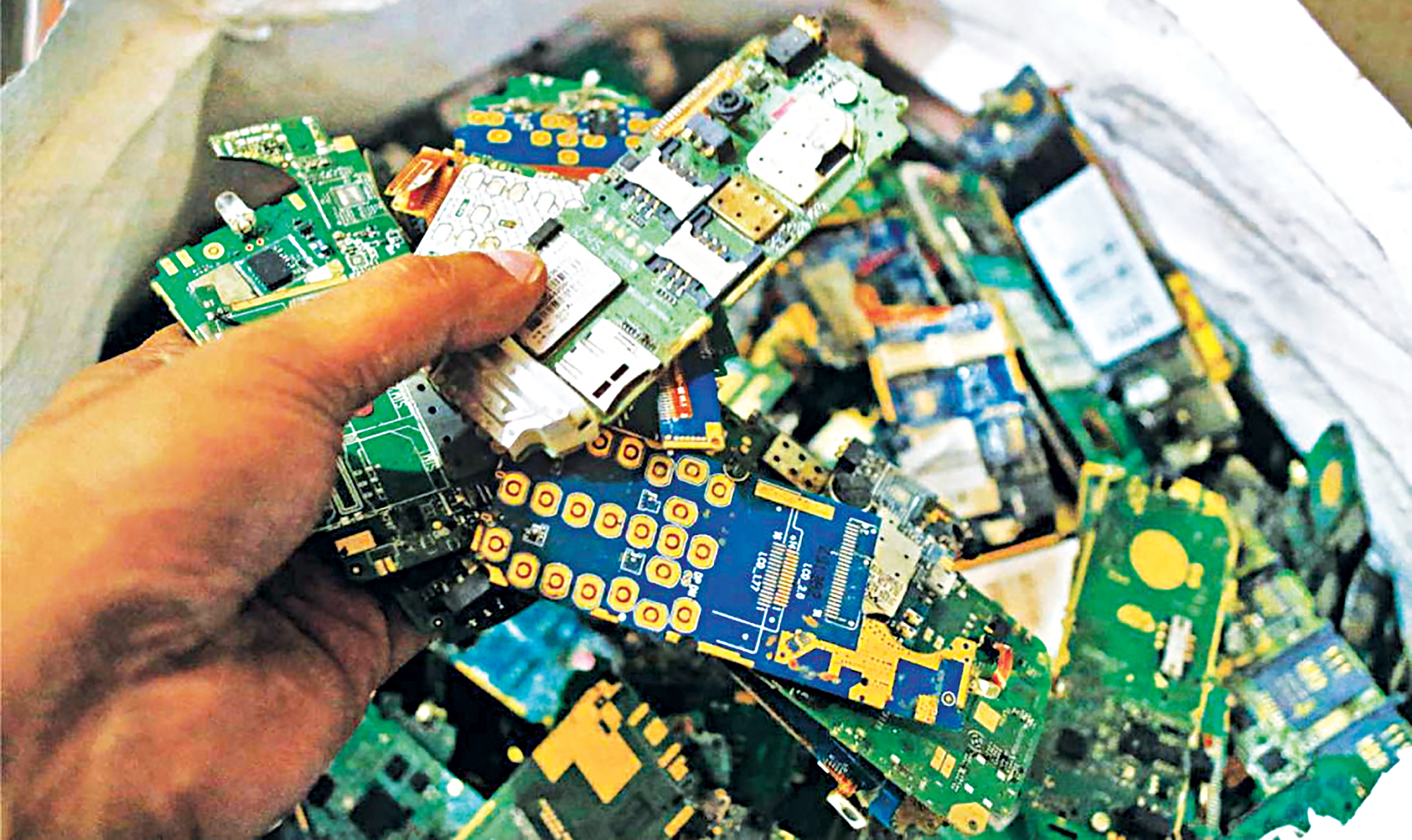 device2.jpg
