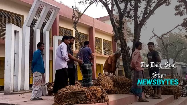 ‘Tobacco haat’ on Lalmonirhat school ground