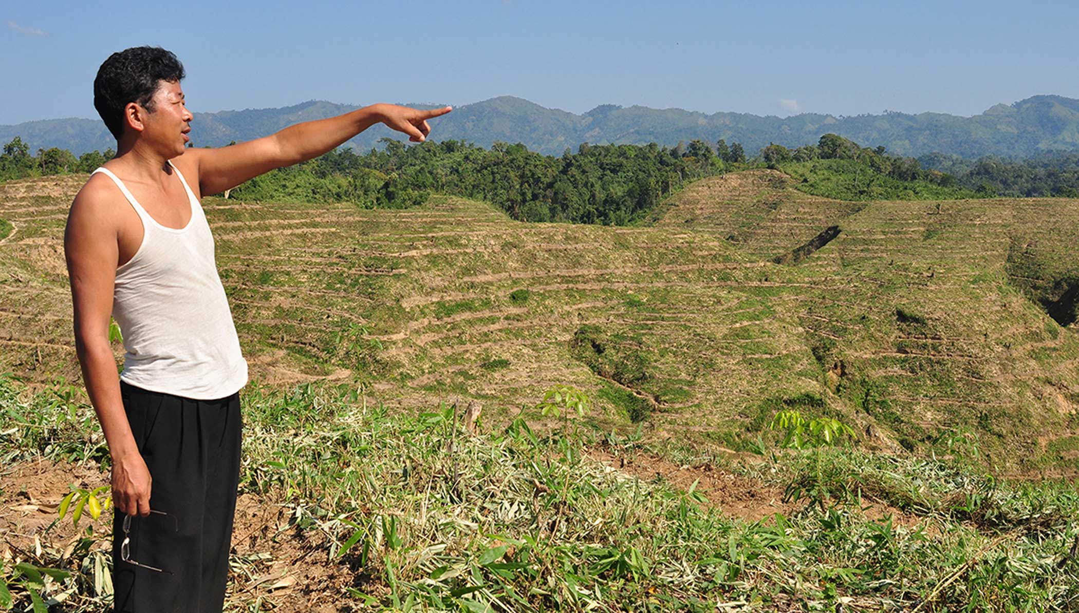 Ending deforestation by 2030:  An empty promise?