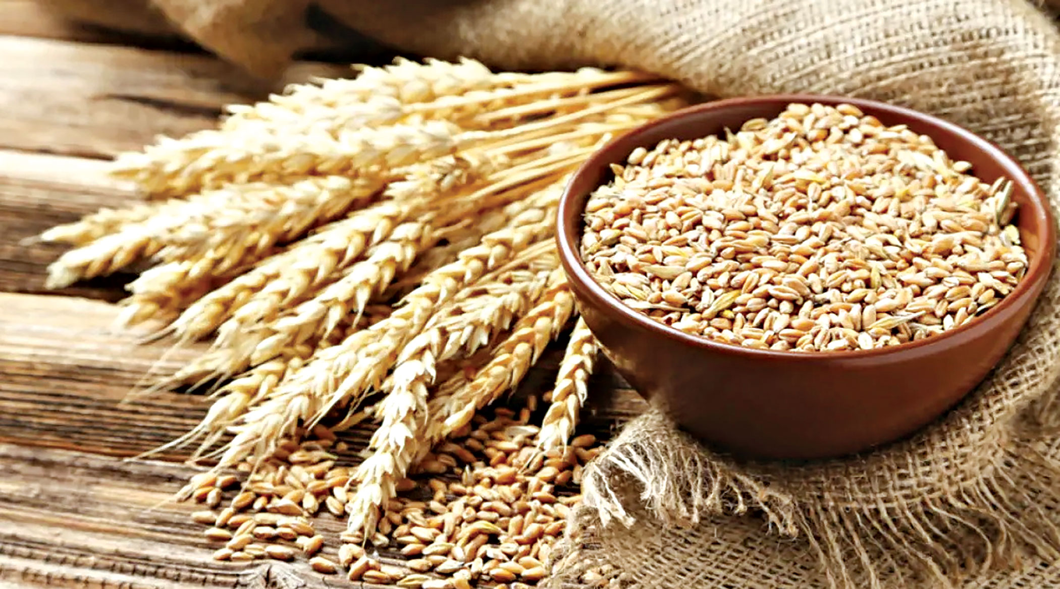 wholesale-grain-market-2.jpg