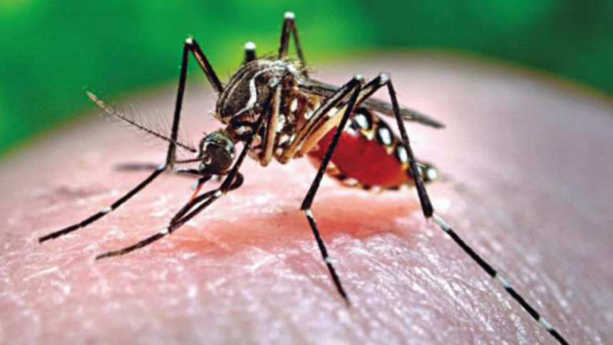 Threat of dengue outbreak is ominous