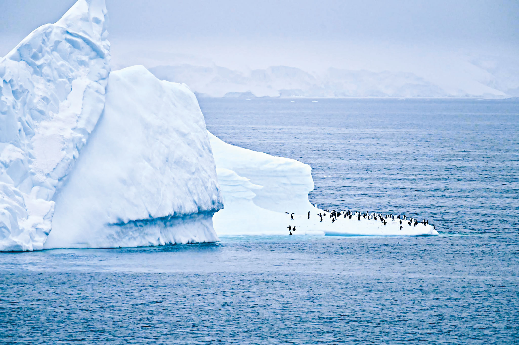antarctica-2.jpg