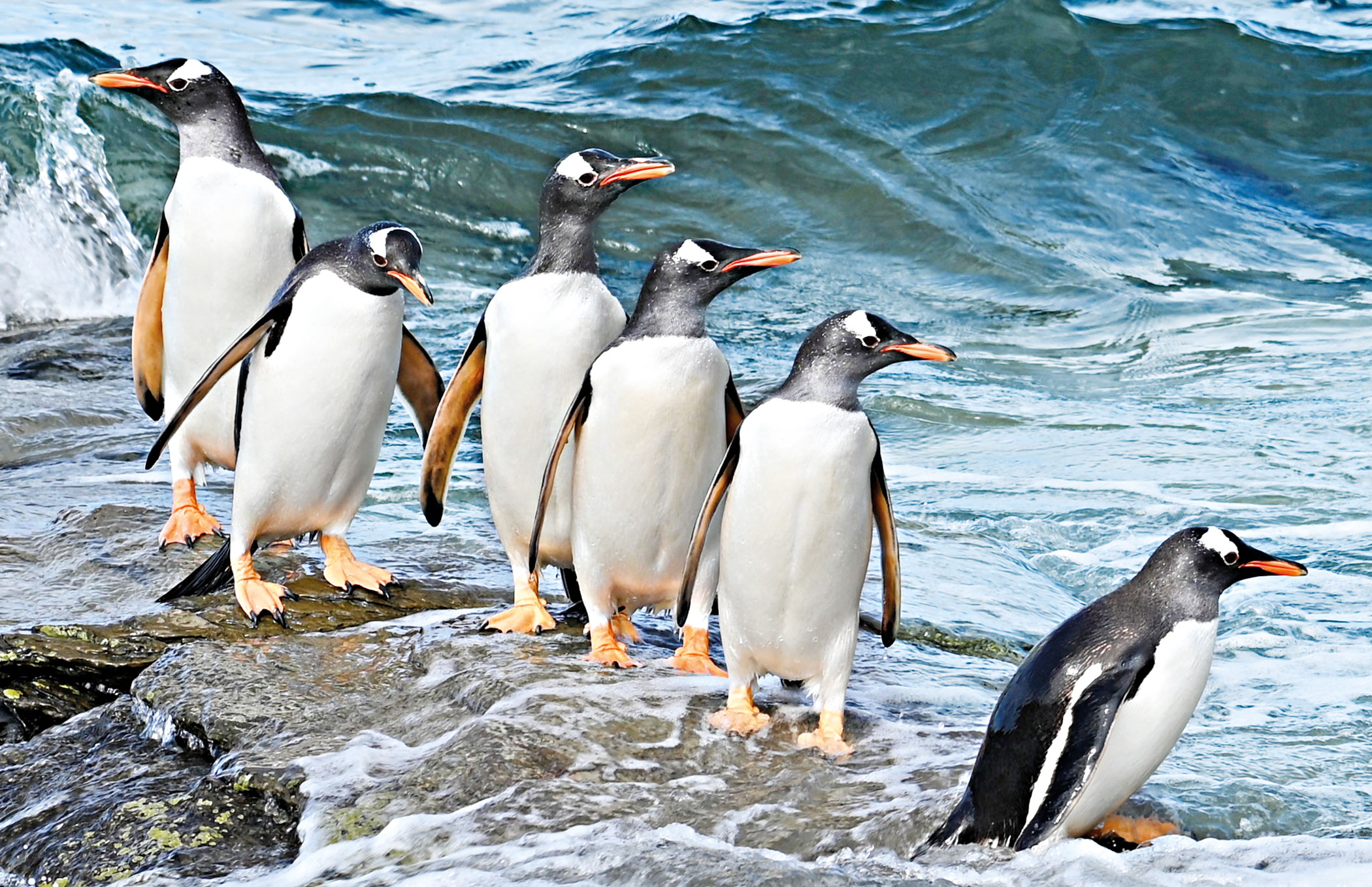 antarctica-7.jpg