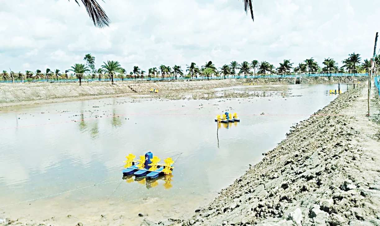 niribili-hatchery-1_0.jpg