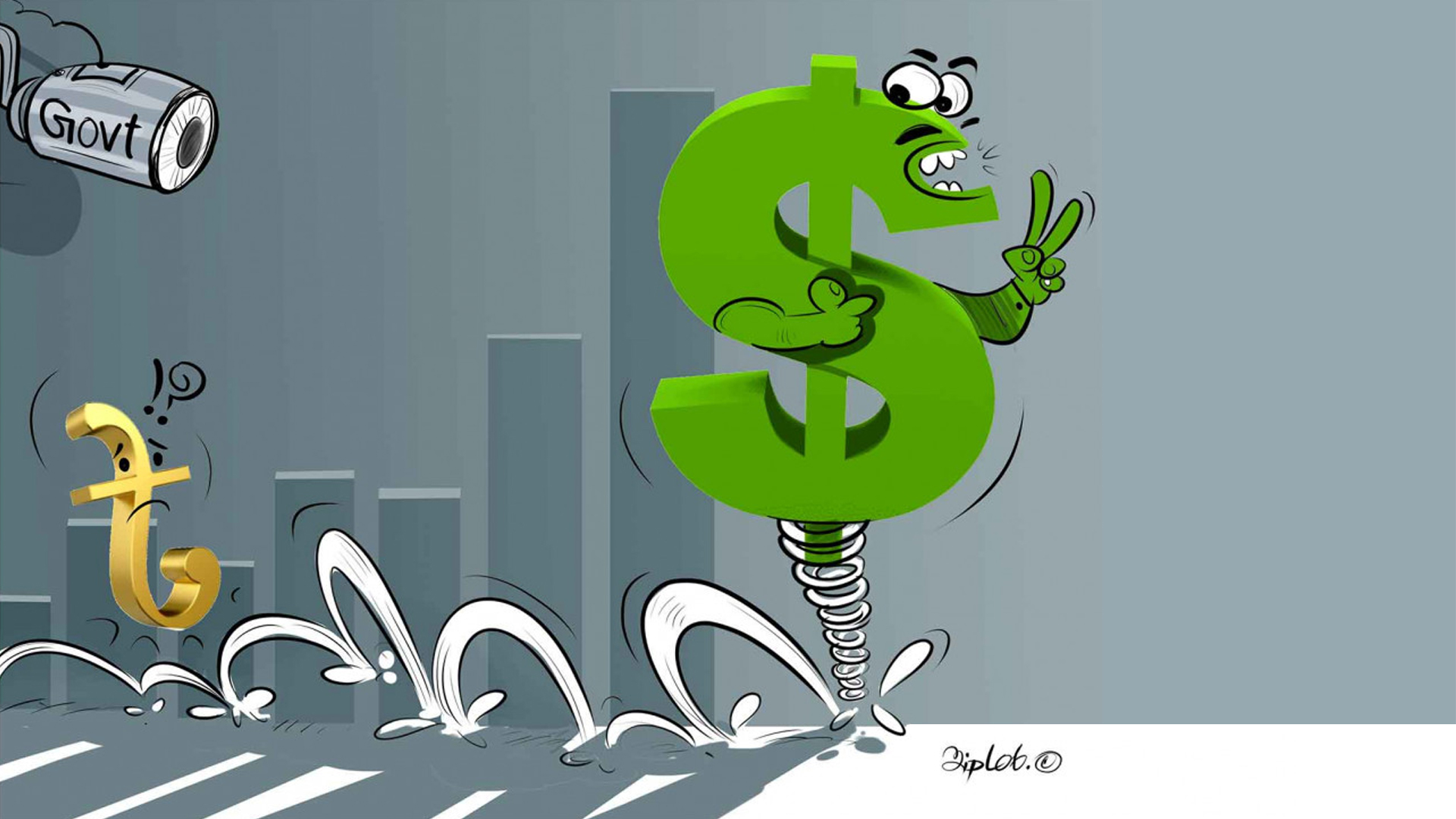 8 things the government can do to stabilise the dollar rate