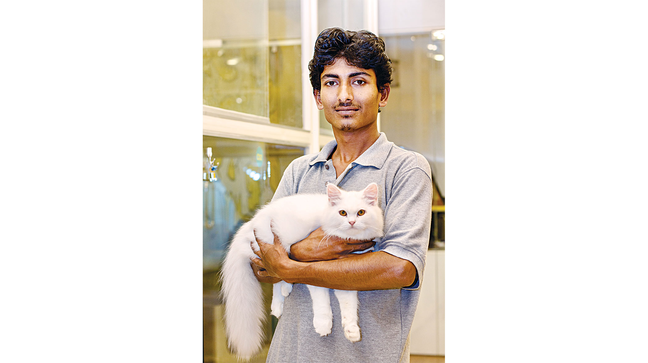 pet