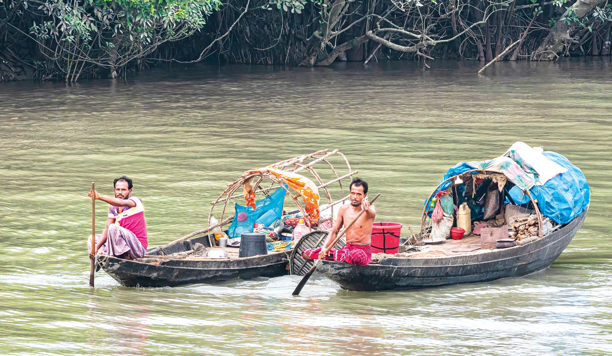 sundarbans-5.jpg