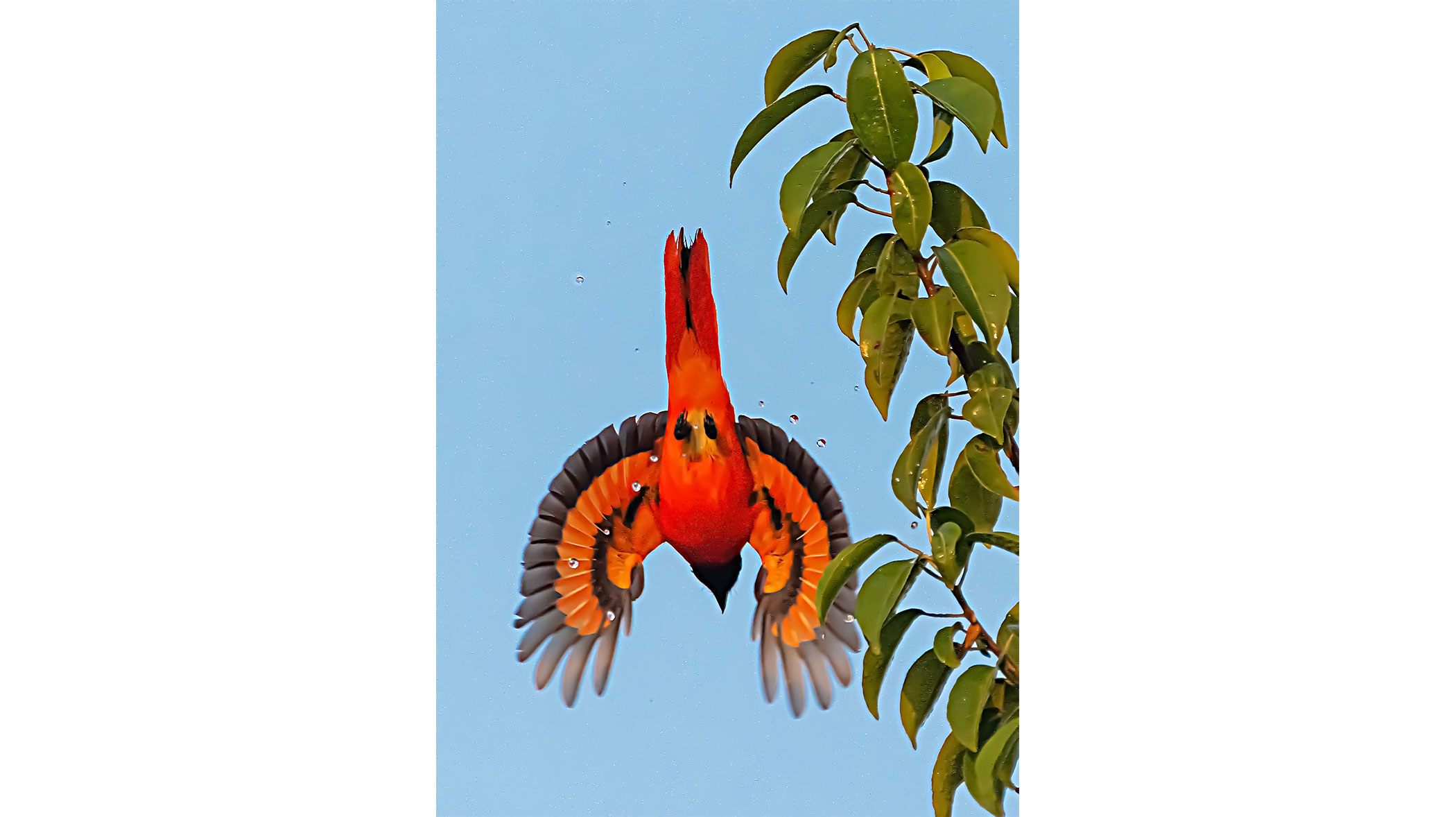 sundarbans-9.jpg