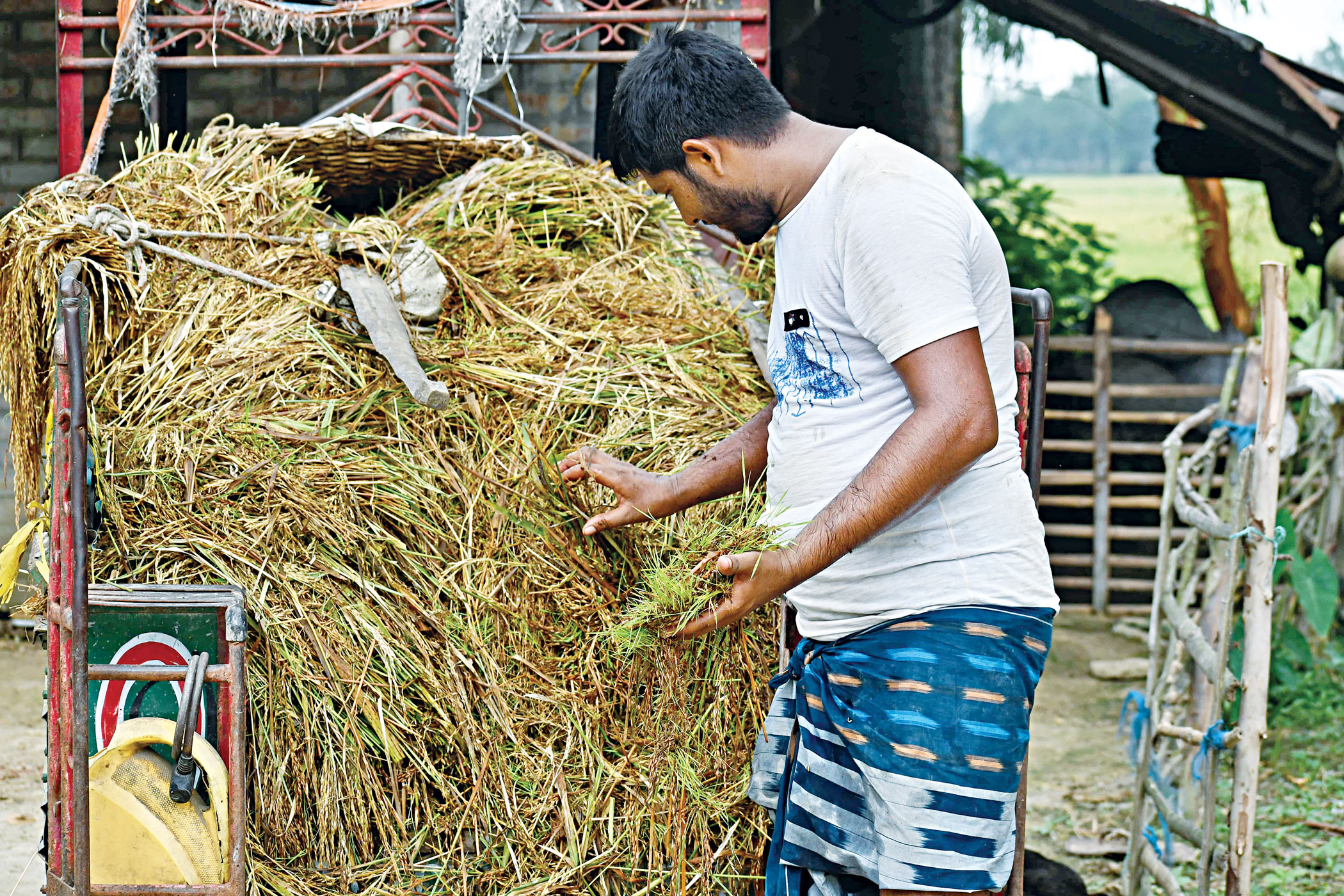 farmers-2.jpg