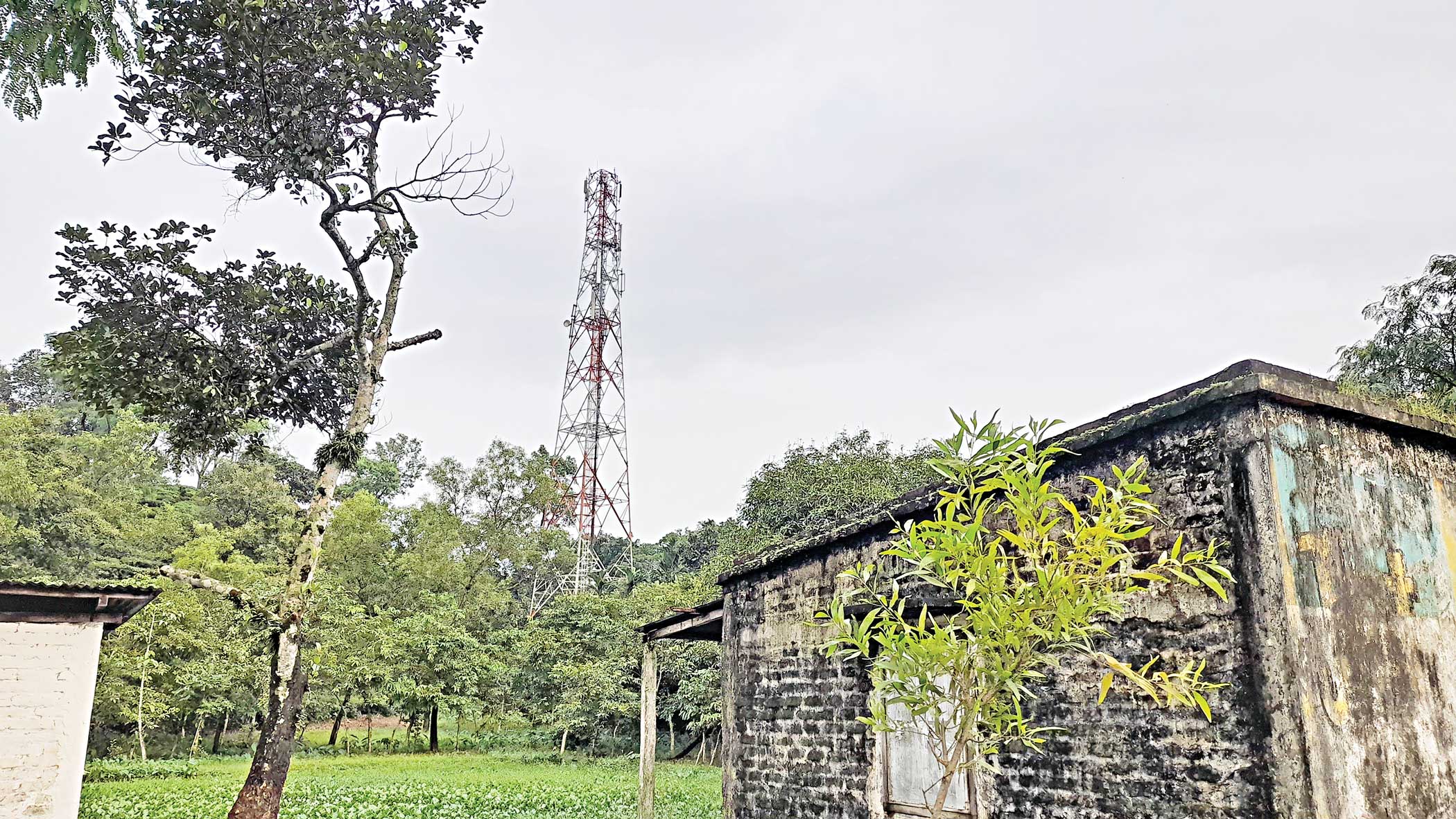 Mobile users suffer as towers go down in Sylhet