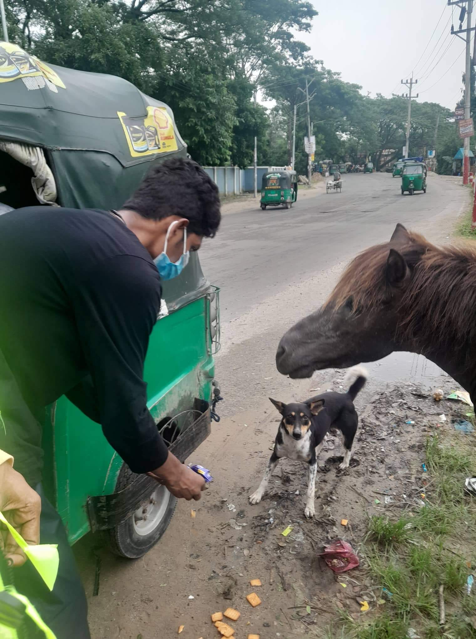 Animal Rescuers Bangladesh