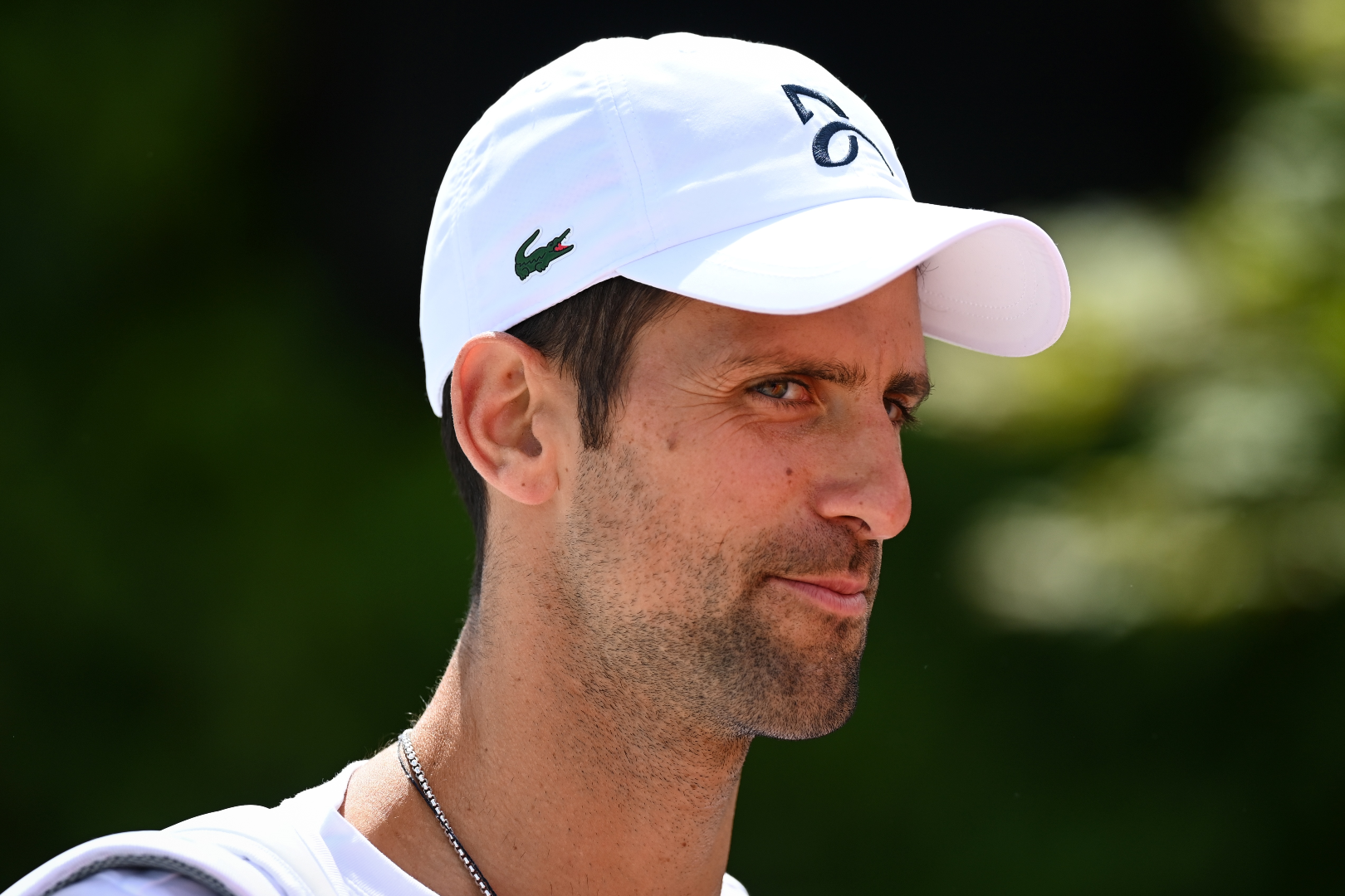 novak_djo.png