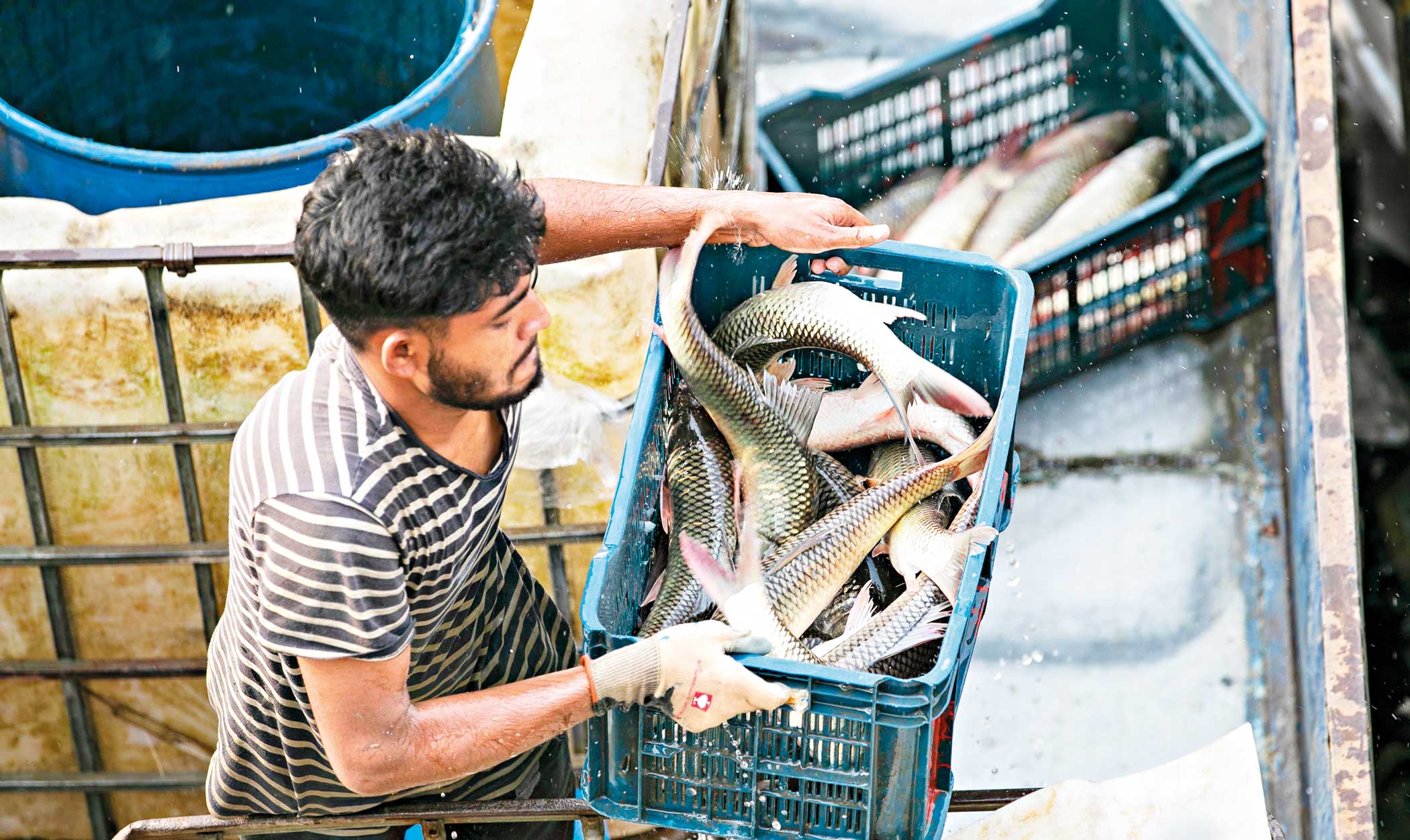 fisheryghat1.jpg