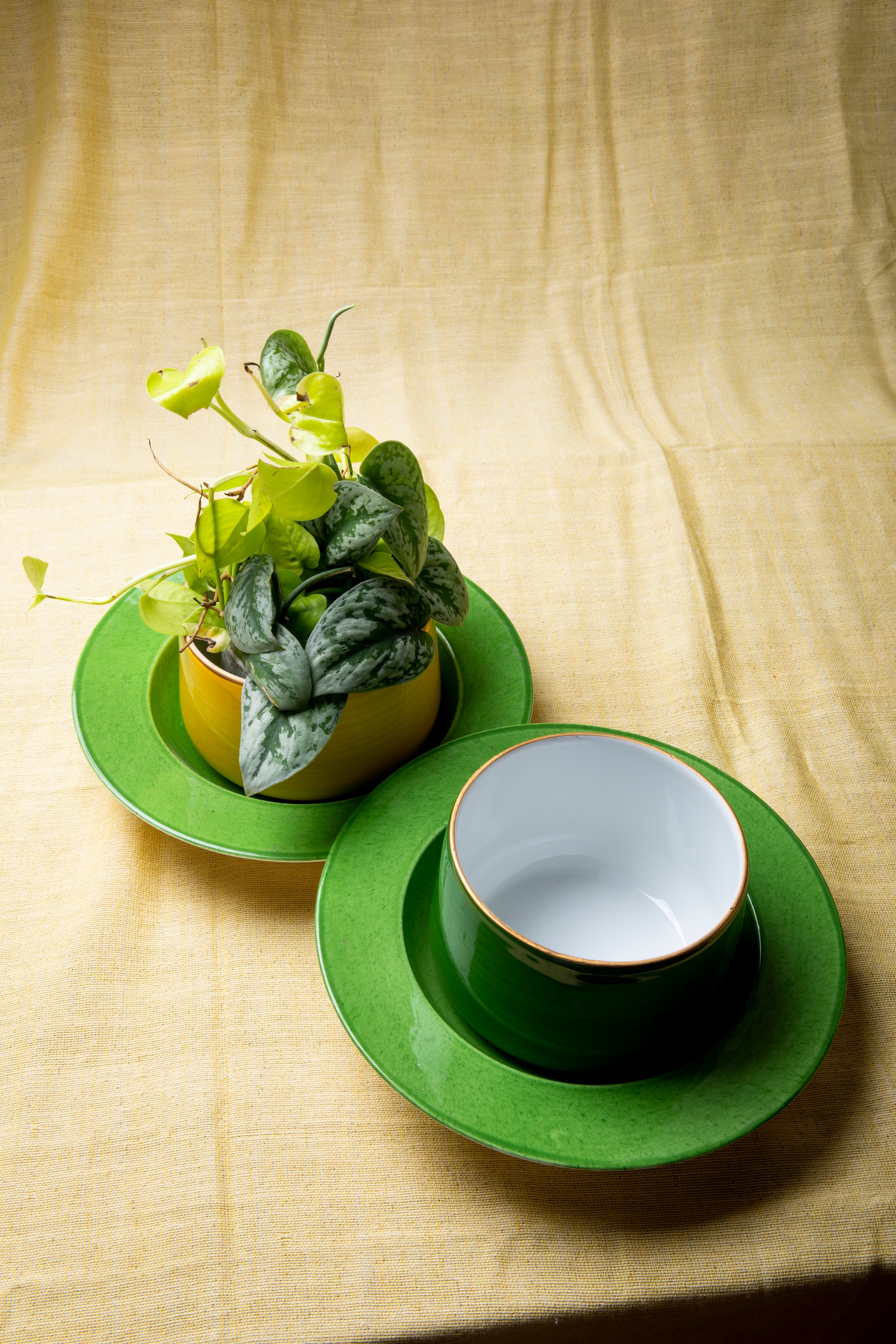 Ceramic plant pot and plates