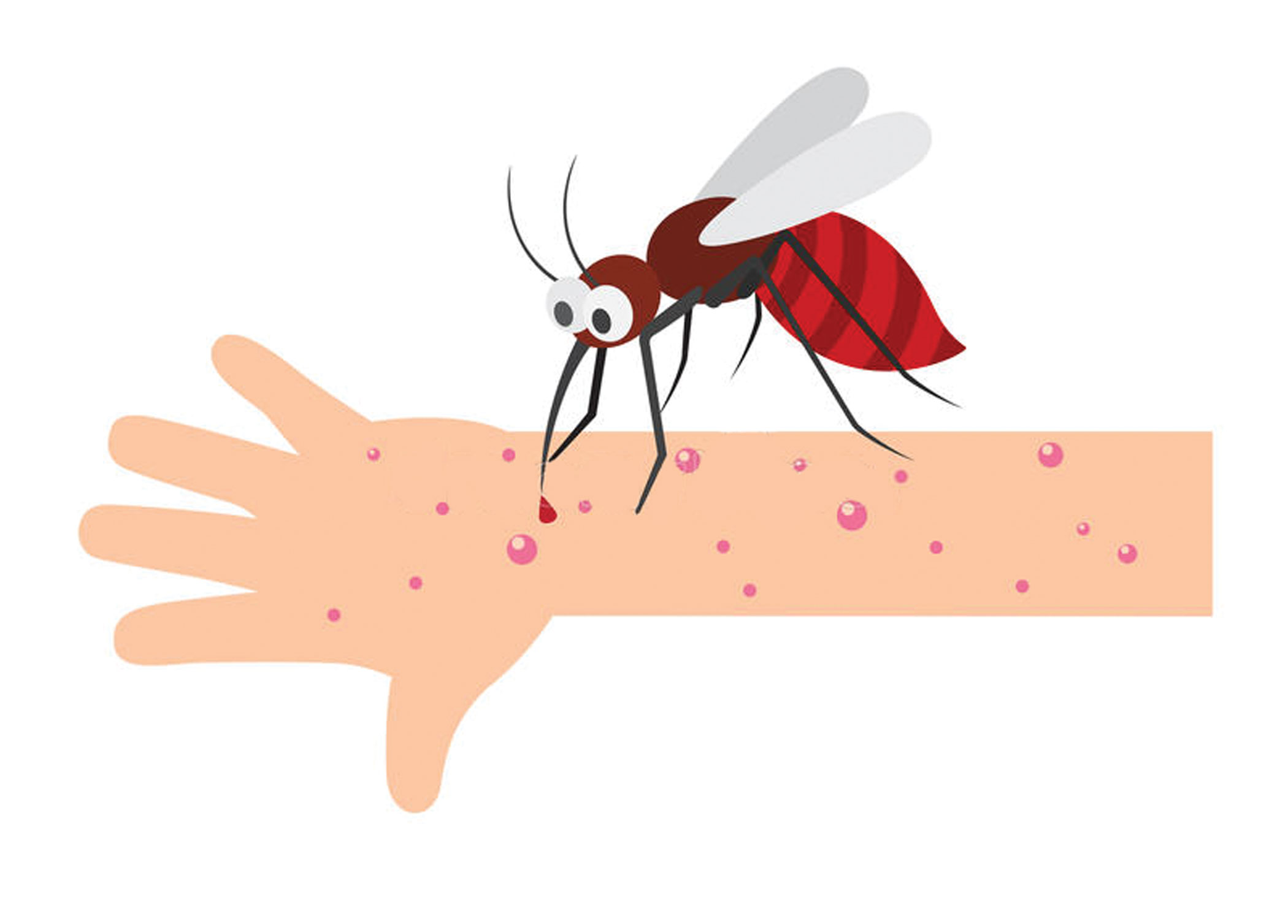 mosquito.jpg