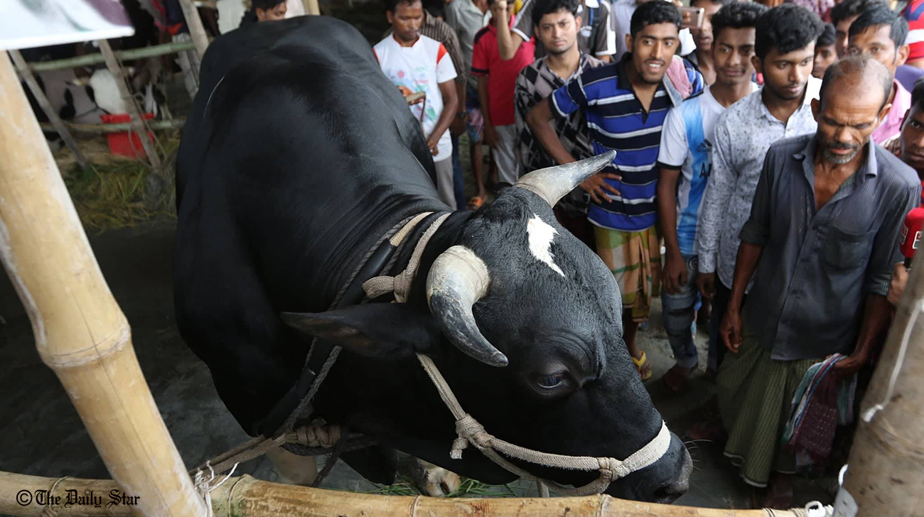 What it’s like for women at a qurbani haat